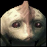 Panyar 牵绊.png