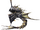 Lophid A.png