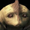 Chanty.jpg