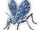 Glassy Cricket icon.png
