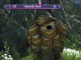 Somelia Nest