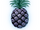 Nightmare Pineapple