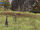 Travellers rest.jpg