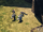 Close Encounters (2).png