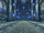 Corridor of Silence