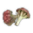 Dobobora Broccoli icon.png