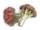 Dobobora Broccoli icon.png