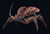 xenoblade chronicles x insect jaw