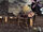 Img sp-welcome15L-05.jpg