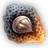 Lava Chestnut icon.png
