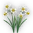 Nirvana Jonquil icon.png
