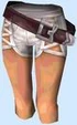 Pc051004.jpg