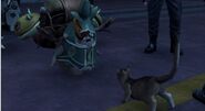 Cat vs Tatsu