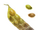 Dosoram Bean icon.png