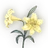 Noranlily icon.png