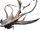 Duoguill B.png