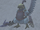 Poleaxe chilkin.png