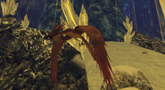 Hidden Gamigin