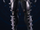 Plantars 7-M.png