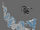 Satorl Marsh DE Map.png