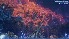 Yurna the Elderwood