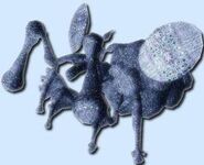 A Chimai Selua