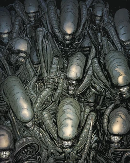 Xenomorph XX121 | Wikihive LV-427 Wiki | Fandom