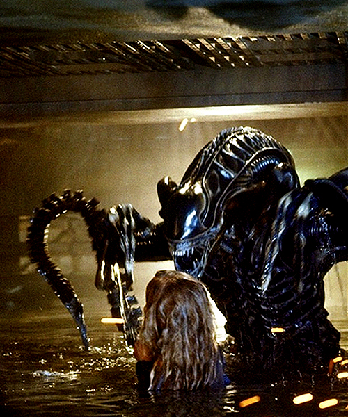 xenomorph warrior