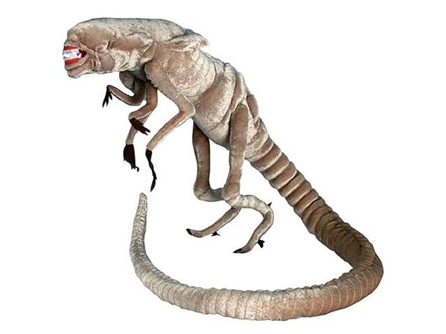 Queen Chestburster Xenomorph Species Wiki Fandom