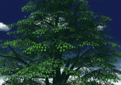 An illusion of Febronia watching her sisters in their imaginary paradise.