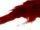 Vlcsnap-2011-05-05-15h42m42s193.png