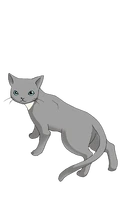 Sakura's cat.