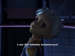 "Mirror, mirror, on the wall! Show me! Define me! I am the infinite telomerase! I am not an anti-existence! I am the perfect chain!"