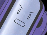 Bugs