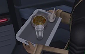 Allen's questionable curry.