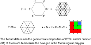 Hexagon represents CTOL