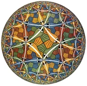 Escher 1000