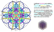The prime number cross/cubistic matrix geometry encoded in the EFFI