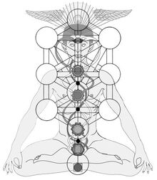 Tree of life kundalini chakras