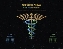 Caduceus-Phiral-Fibonacci