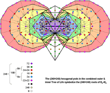 248-248 hexagonal yods in combined Trees of Life