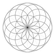 Timewave elumeir ani plain