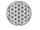 Dimensional consciousness/The Flower(s) of Life