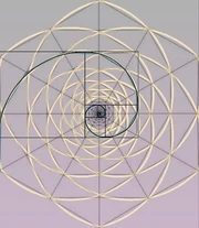 Hexaflorfibonacci