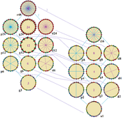 Symmetries of icositetragon
