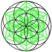 Seedoflifeincircle1 20200603182057291