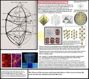 3D tree of life geometry
