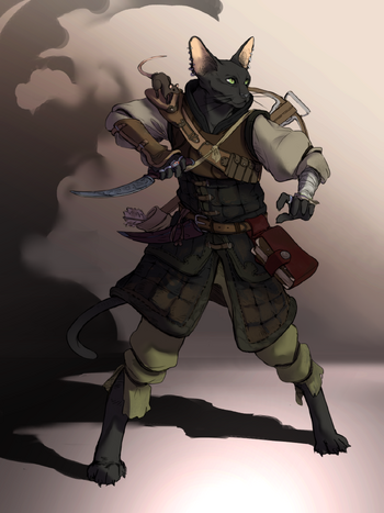 Tabaxi | Xesteria Wiki | Fandom