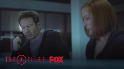 Mulder Gets A Weird Fish Season 11 Ep