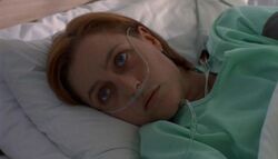 Scully Hôpital Trinité Voie de la vértié.jpg